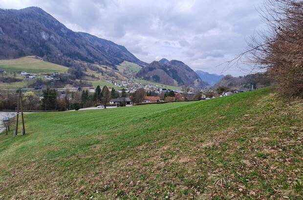 Grundstück kaufen in 4460 Losenstein (Bild 3)