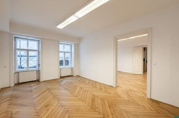 Gewerbeobjekt mieten in 1010 Wien (Bild 1)