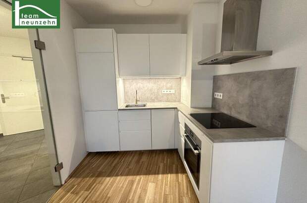 Terrassenwohnung mieten in 1230 Wien (Bild 3)