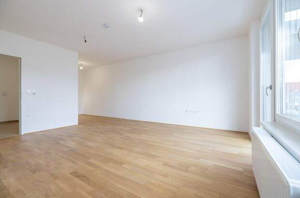 Terrassenwohnung mieten in 2700 Wr. Neustadt (Bild 5)