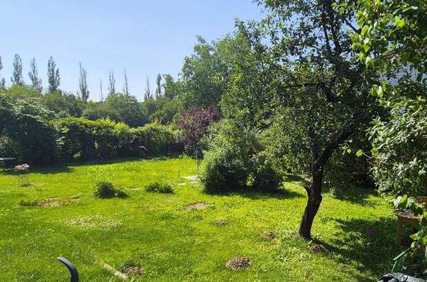 Grundstück kaufen in 1210 Wien (Bild 5)