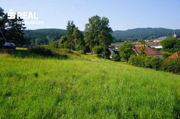 Grundstück kaufen in 3962 Heinrichs (Bild 1)