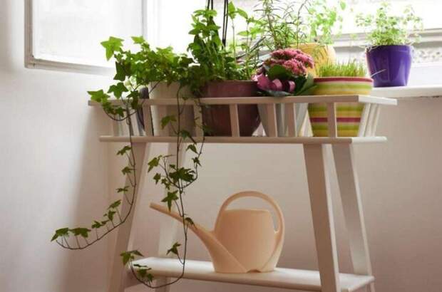 Altbauwohnung mieten in 8010 Graz (Bild 5)