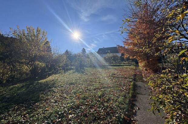 Grundstück kaufen in 3400 Klosterneuburg (Bild 1)