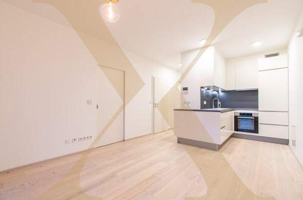 Terrassenwohnung mieten in 4040 Linz (Bild 1)