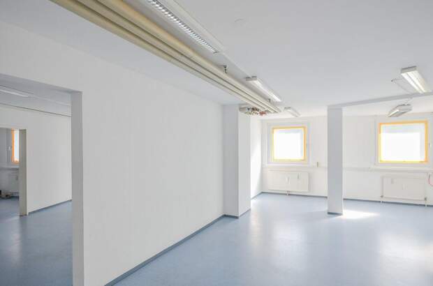 Gewerbeobjekt mieten in 1230 Wien (Bild 3)