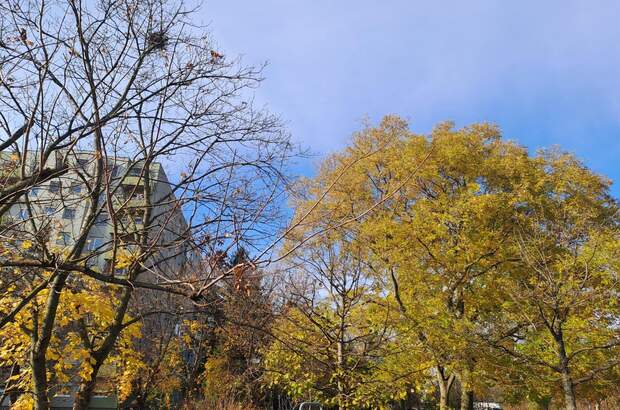 Terrassenwohnung kaufen in 1210 Wien (Bild 1)
