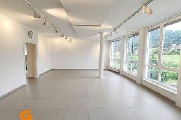 Gewerbeobjekt mieten in 5026 Salzburg (Bild 2)