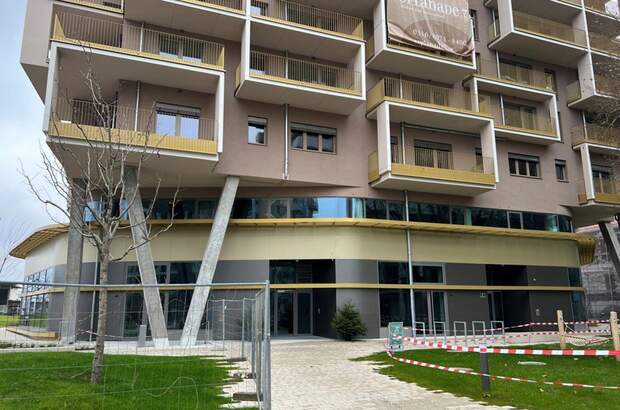 Gewerbeobjekt mieten in 8020 Graz (Bild 2)