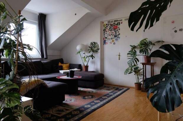 Altbauwohnung mieten in 1050 Wien (Bild 4)