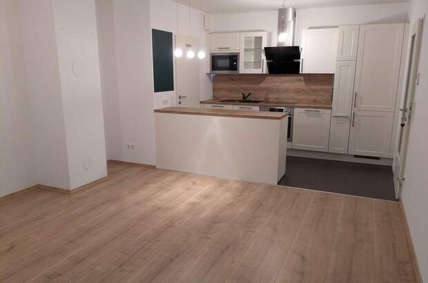 Terrassenwohnung mieten in 1220 Wien (Bild 1)