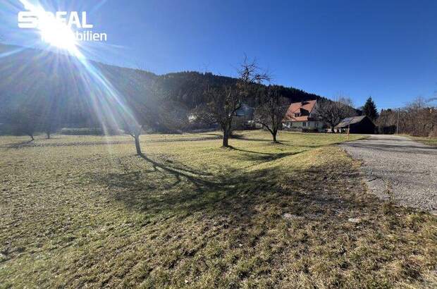 Grundstück kaufen in 9361 St. Salvator (Bild 5)