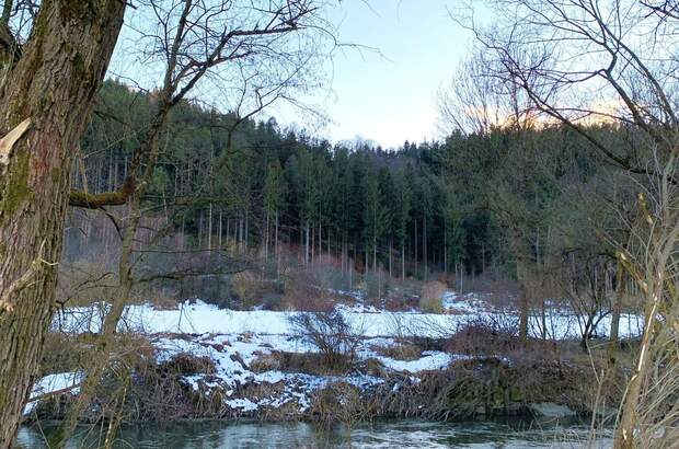 Grundstück kaufen in 8410 Weitendorf (Bild 4)