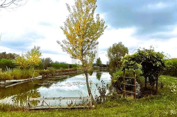 Gewerbeobjekt kaufen in 7064 Oslip (Bild 1)