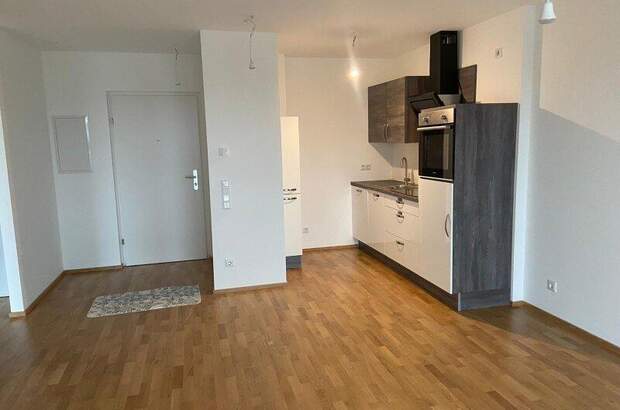 Terrassenwohnung mieten in 1230 Wien (Bild 2)