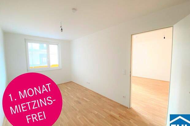 Terrassenwohnung mieten in 1100 Wien (Bild 1)