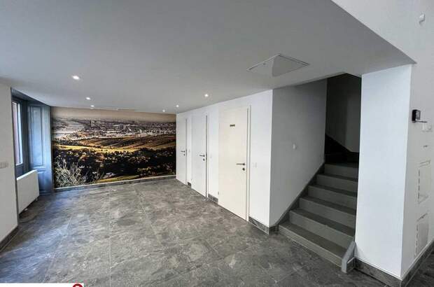Gewerbeobjekt mieten in 1010 Wien (Bild 1)