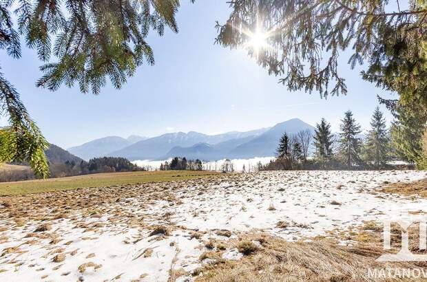 Grundstück kaufen in 9161 Göltschach (Bild 1)