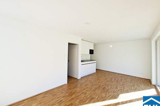 Terrassenwohnung mieten in 1220 Wien (Bild 3)