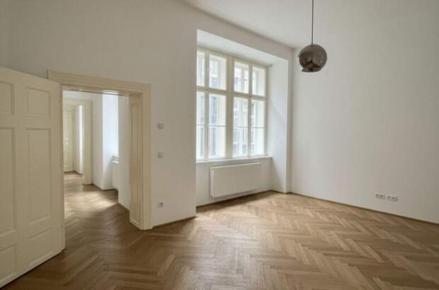 Altbauwohnung mieten in 1010 Wien (Bild 2)