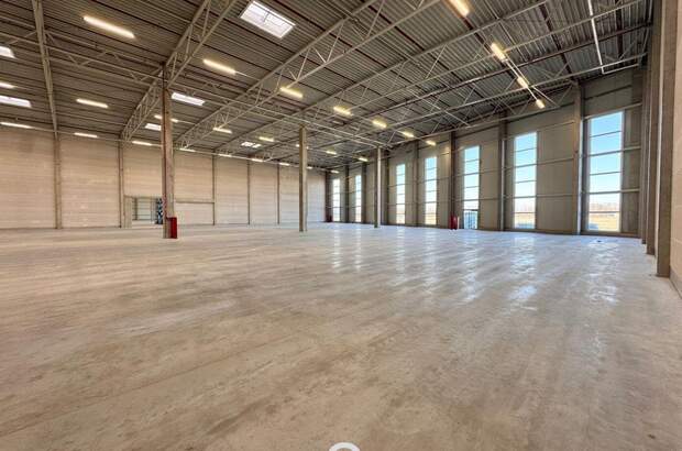 Gewerbeobjekt mieten in 4470 Enns (Bild 3)