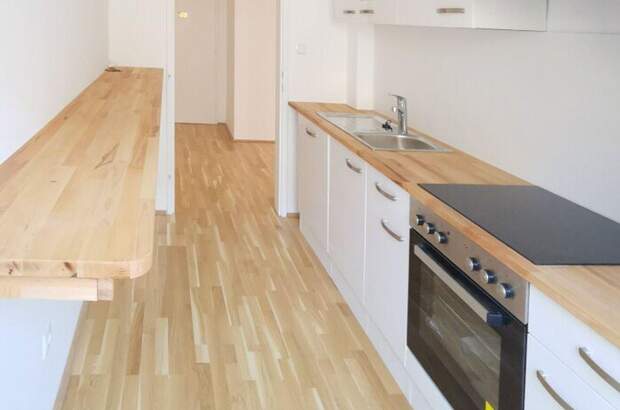 Wohnung mit Balkon mieten in 1190 Wien (Bild 1)