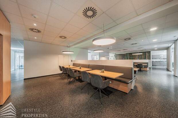 Gewerbeobjekt mieten in 2201 Gerasdorf (Bild 1)