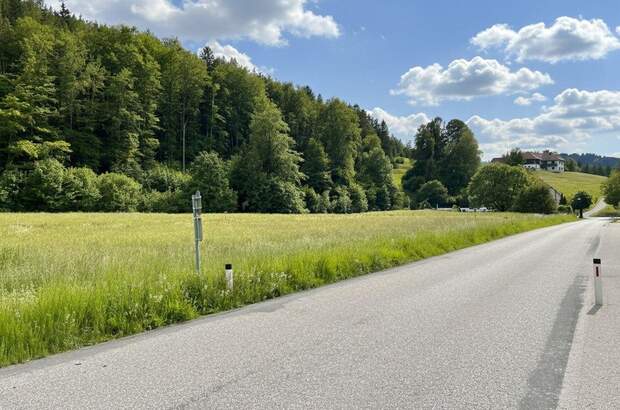 Grundstück kaufen in 4645 Grünau (Bild 1)