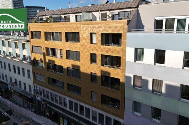 Terrassenwohnung mieten in 1100 Wien (Bild 1)