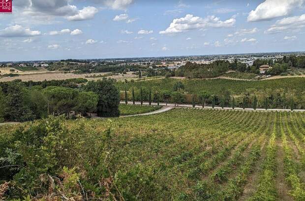 Gewerbeobjekt kaufen in 47032 Bertinoro (Bild 5)