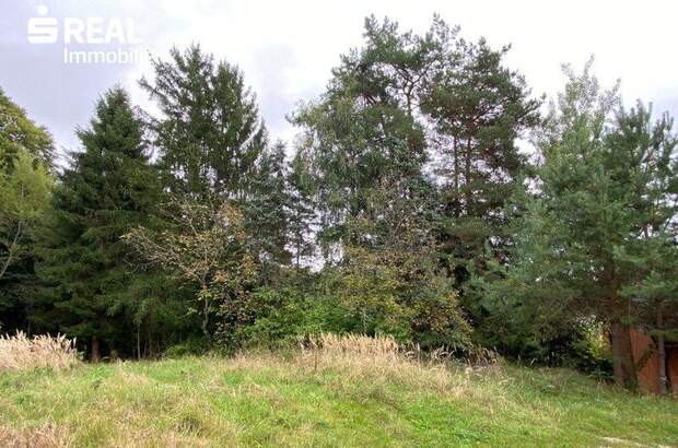 Haus kaufen in 8261 Sinabelkirchen (Bild 4)