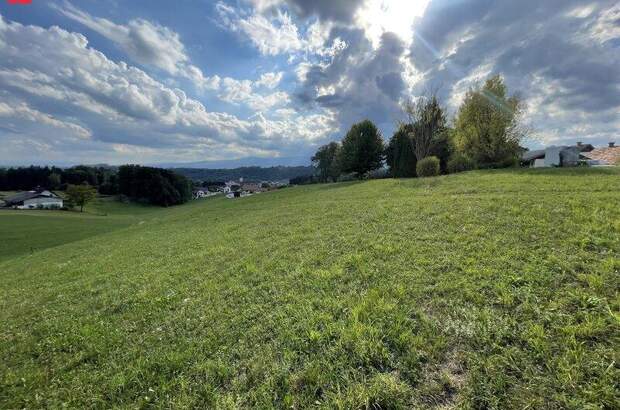 Grundstück kaufen in 8151 Hitzendorf (Bild 3)