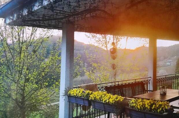 Gewerbeobjekt kaufen in 2214 Sladki Vrh (Bild 1)