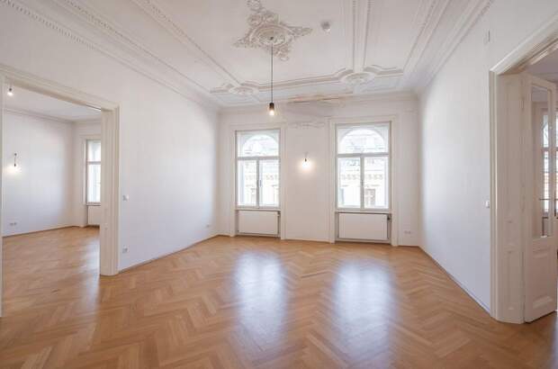 Altbauwohnung mieten in 1010 Wien