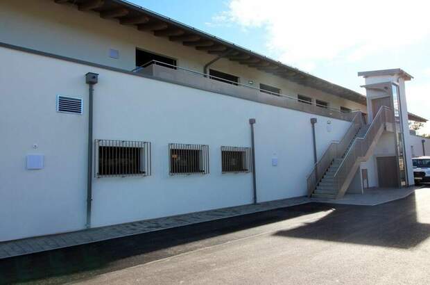 Gewerbeobjekt mieten in 5071 Wals (Bild 3)