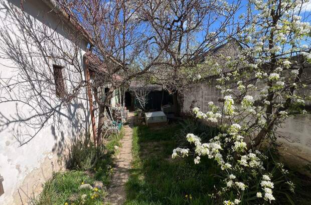 Haus mit Garten kaufen in 7091 Breitenbrunn (Bild 1)