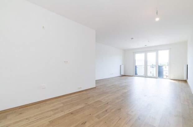 Terrassenwohnung kaufen in 2700 Wr. Neustadt (Bild 3)