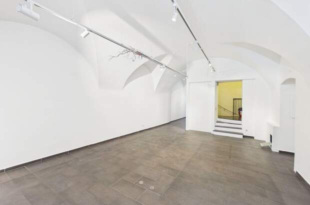 Gewerbeobjekt mieten in 1010 Wien (Bild 5)