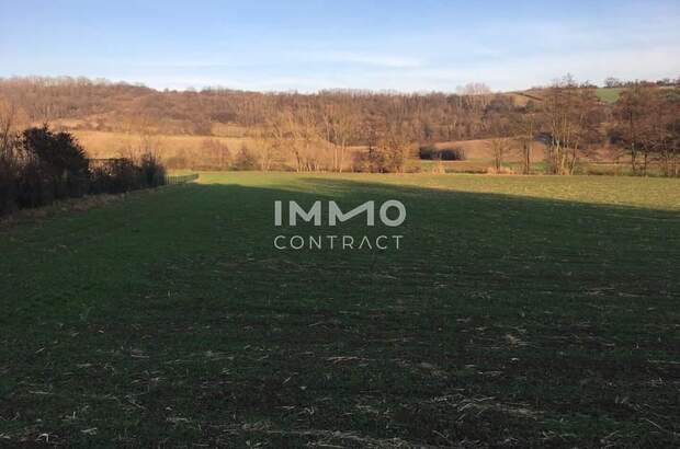 Grundstück kaufen in 2123 Kreuttal