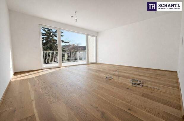 Terrassenwohnung kaufen in 2514 Traiskirchen (Bild 1)