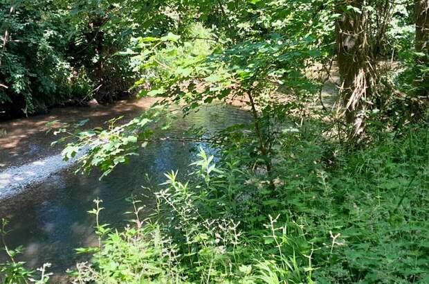 Haus kaufen in 4702 Wallern (Bild 4)