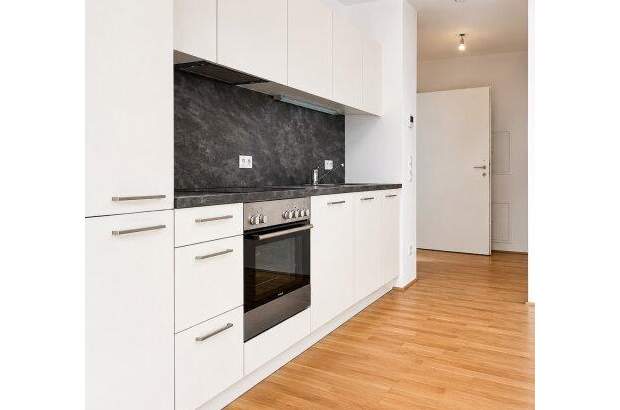 Terrassenwohnung mieten in 1120 Wien (Bild 3)