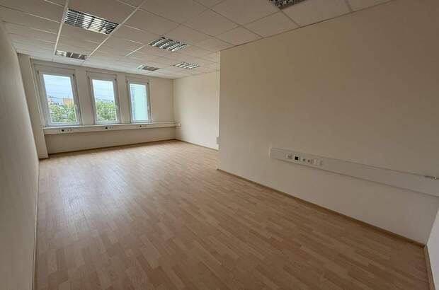 Büro / Praxis mieten in 2544 Leobersdorf (Bild 4)