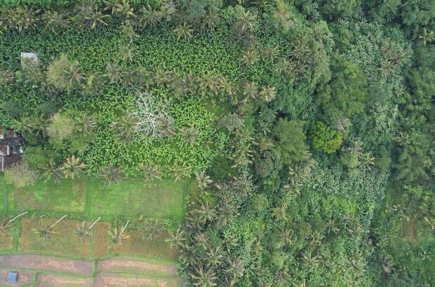 Grundstück kaufen in 80572 Puhu (Bild 3)