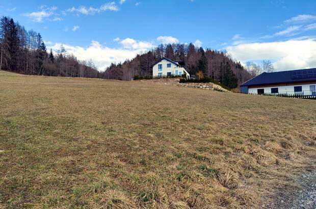 Grundstück kaufen in 8843 St. Peter (Bild 5)