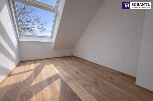 Terrassenwohnung kaufen in 2514 Traiskirchen (Bild 5)