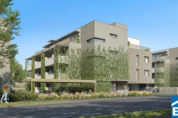 Terrassenwohnung kaufen in 2340 Mödling (Bild 3)