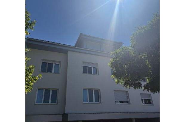 Terrassenwohnung kaufen in 4600 Thalheim (Bild 1)