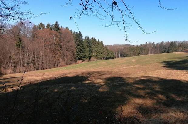 Grundstück kaufen in 8334 Riegersburg (Bild 4)