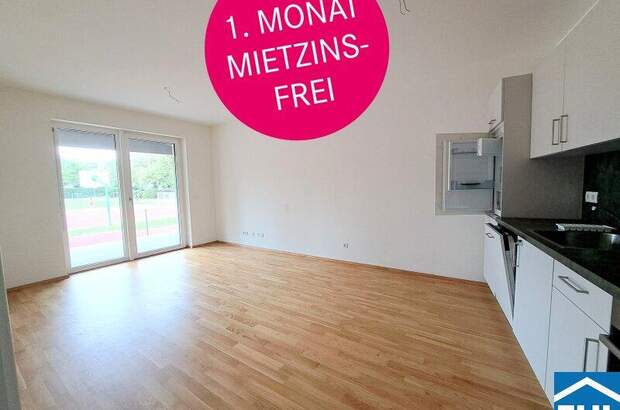 Terrassenwohnung mieten in 8020 Graz (Bild 1)